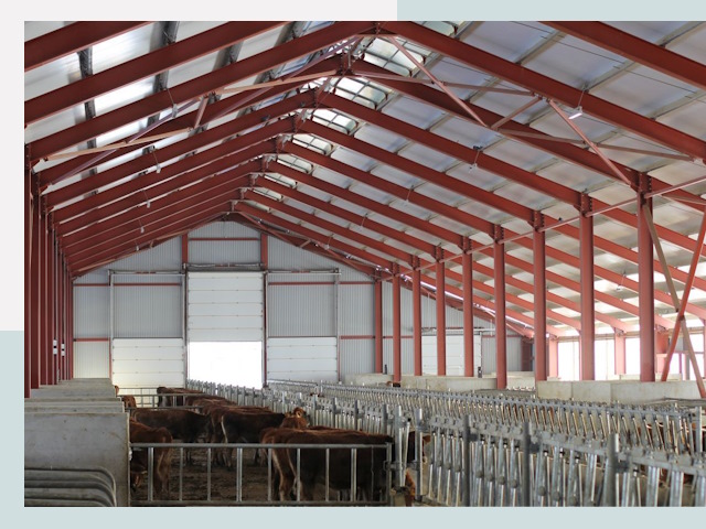 Строительство коровников в Усинске