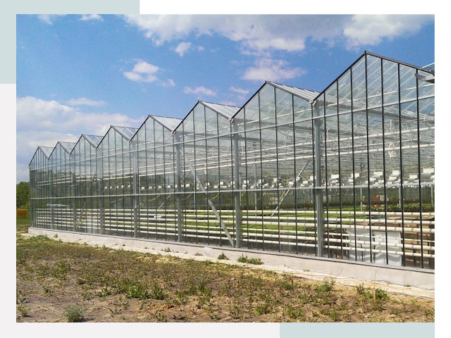 Строительство теплиц в Усинск от 614 руб. за м²